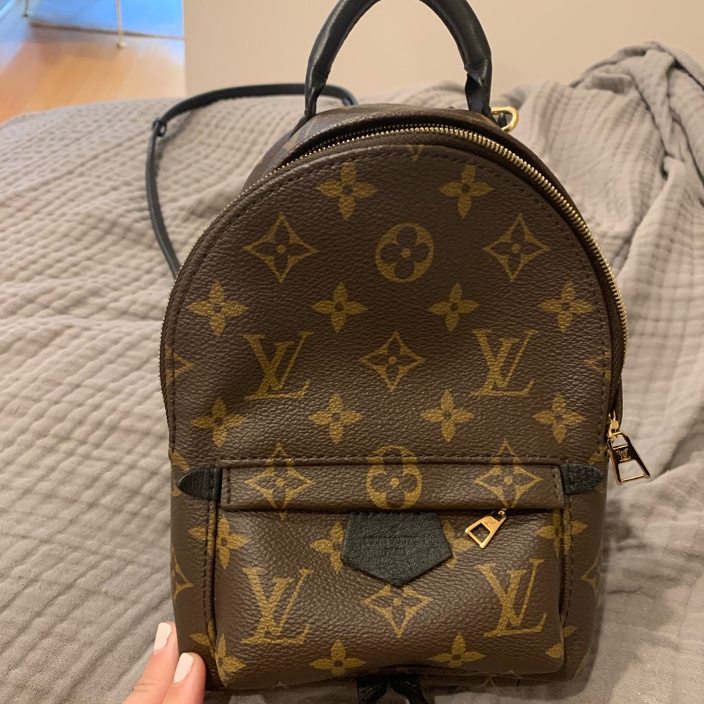 Louis Vuitton Palm Springs mini backpack